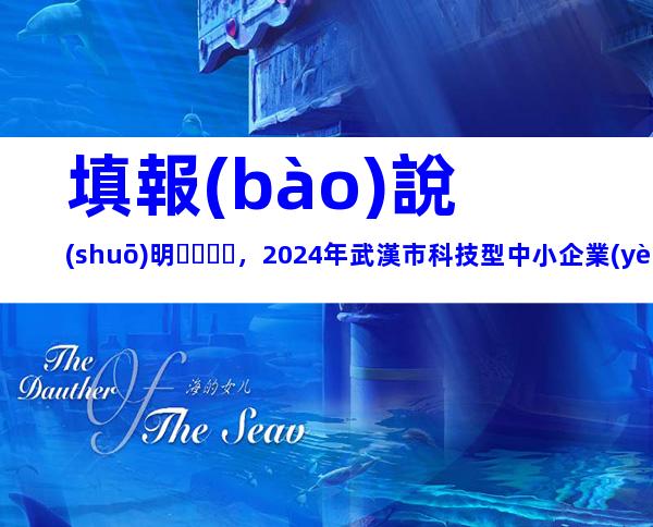 填報(bào)說(shuō)明，2024年武漢市科技型中小企業(yè)評(píng)價(jià)流程、申報(bào)條件